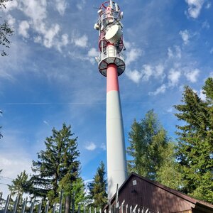 Mykas on the summit of Pustina (6.7.2024 8:07)