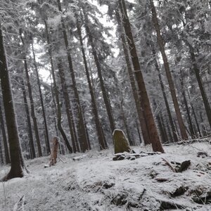 FilipBranis on the summit of Maršovický vrch (8.2.2024 9:06)