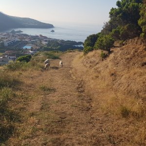 Rudolf Leška na vrcholu Morro Grande (22.7.2025 8:25)