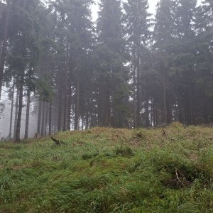 Cyklista 73 on the summit of Krásný (31.8.2026 12:28)