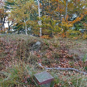 Nojby na vrcholu Javorový vrch (27.10.2021 16:42)