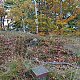Nojby na vrcholu Javorový vrch (27.10.2021 16:42)