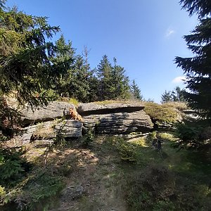 Jizerské hory