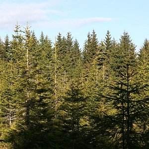 Bouřka na vrcholu Tetřeví hora (29.5.2022 7:28)
