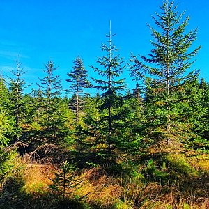 TP na vrcholu Tetřeví hora (27.10.2022 15:19)