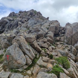 Vratislav Sejkora on the summit of Sørkulen (25.7.2025 13:55)