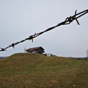 michalzhor on the summit of Křiby (15.11.2025 13:34)