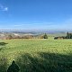 Blatouch na vrcholu Kamenice