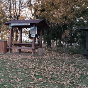 Milda on the summit of Kamenice (19.10.2025 18:01)