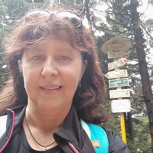 Hanule na vrcholu Čertův mlýn (11.8.2019 12:39)