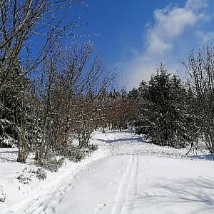 Jan Soukup na vrcholu Čertův mlýn (10.4.2022 13:21)