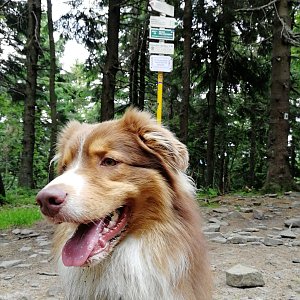 Karolína Ježovičová na vrcholu Čertův mlýn (15.7.2020 16:13)