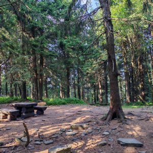 Šárka na vrcholu Čertův mlýn (6.8.2026 16:11)