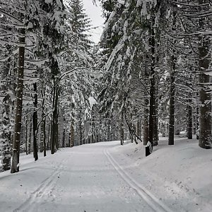 Michal 77 na vrcholu Čertův mlýn (19.2.2021 10:22)