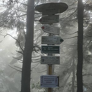 Peťulik na vrcholu Čertův mlýn (7.8.2021 8:22)
