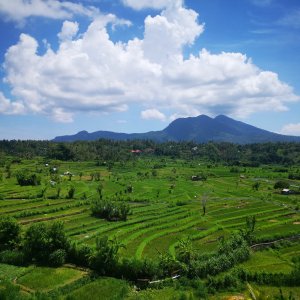 Jirka Hruška on the summit of Bukit Tirtagangga (24.12.2019 10:30)