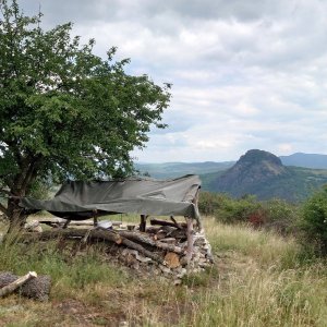 Nojby on the summit of Želenický vrch (14.6.2023 13:57)