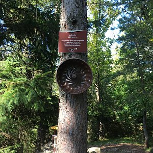 hajfan na vrcholu Bábovka (3.9.2021 15:37)