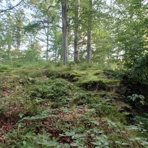 Nojby on the summit of Knochen (6.8.2025 9:28)