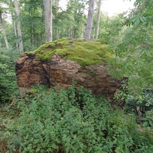 Nojby on the summit of Höckenstein (6.8.2025 14:49)