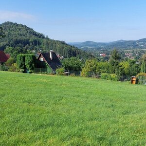 Mykas na vrcholu Skalický vrch (27.8.2024 9:16)