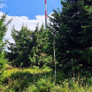Jan na vrcholu Vlčí hora (12.7.2026 14:57)