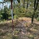 Radka D na vrcholu Hrad (8.9.2024 11:15)