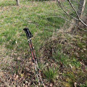 Radka D na vrcholu Vršava (31.3.2024 10:49)