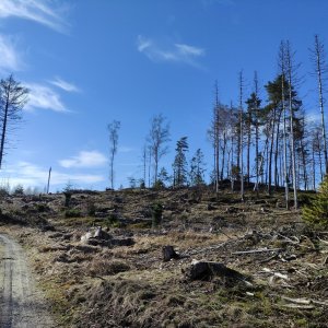 Vratislav Sejkora on the summit of Bor (26.2.2026 14:33)