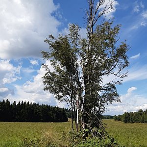 ZdenkaV na vrcholu Přední hraniční vrch (11.8.2021)