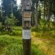 Ila on peak Jelení vrch (20.8.2026)