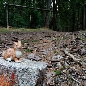 Jiřina na vrcholu Ježule (1.5.2022 11:55)