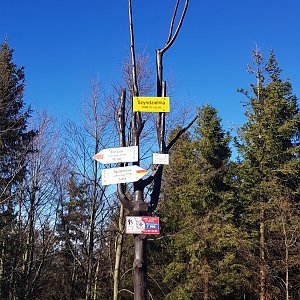 Dafko94 na vrcholu Szyndzielnia (31.10.2021 13:00)
