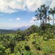 Jirka Hruška on peak Puncak Sari Poh