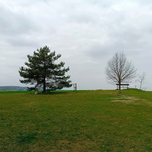 AlenaŠ on the summit of U Kostela (16.4.2026 11:35)