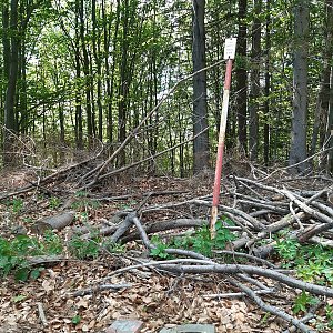 ZdenkaV na vrcholu Řehucí (21.5.2022 13:53)