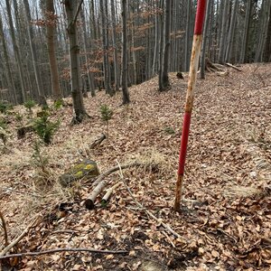 Radka D na vrcholu Řehucí (14.3.2024 11:44)