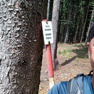 Li Be na vrcholu Řehucí (8.7.2024 11:37)