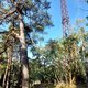 Mykas on peak Smrčí (9.8.2024)