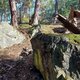 Mykas on peak Smrčí (9.8.2024)