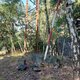 Mykas on peak Smrčí (9.8.2024)