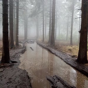 HonzAnitka na vrcholu Jeřáb (2.5.2021 15:16)
