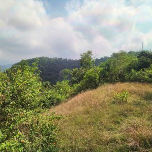 Jirka Hruška na vrcholu Bukit Padang (23.8.2025 10:23)