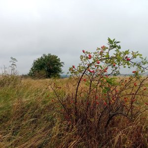 Jiřina na vrcholu Bizovka (2.9.2025 12:00)