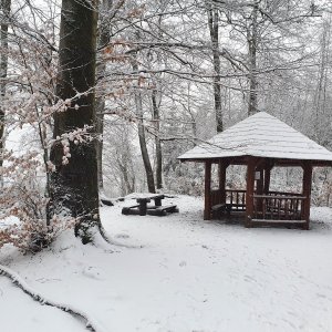 Jan na vrcholu Louštín (14.1.2024 15:00)