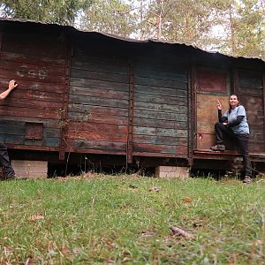 Holi na vrcholu Jelení vrch (30.9.2022 17:04)