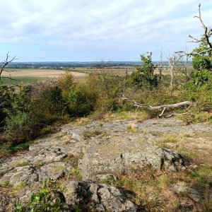 Hohburger Berge