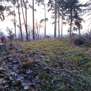 FilipBranis na vrcholu Mandlová hora (19.11.2025 15:59)