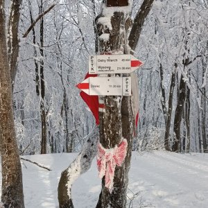 Milda on the summit of Lacková (3.1.2025 13:50)