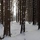 Jiřina na vrcholu Příslop (23.1.2022 11:25)